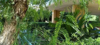 Marousi Residence with Garden