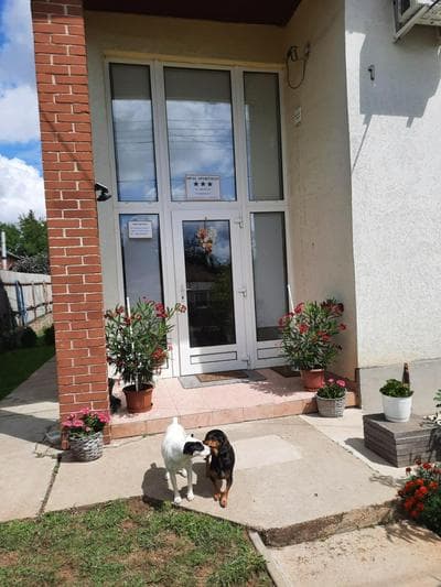 Opál Apartman
