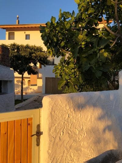 Arunurla Zeytinler Houses
