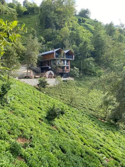 Mezrasuit Bungalov