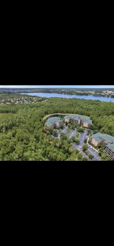 Caribe Lux Condo