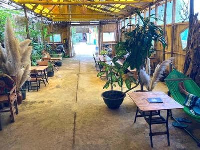 Cà Phê Dưới Hiên Nhà