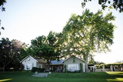 Doran Vineyards