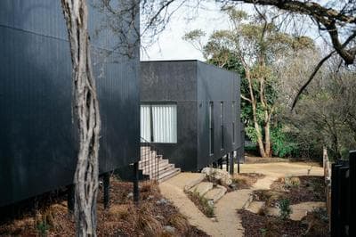 Nerissa – Rye