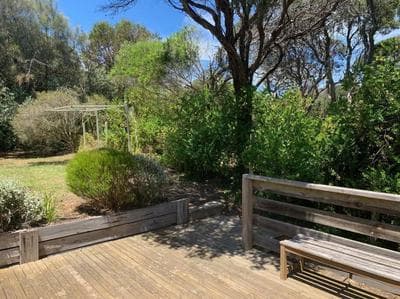 Rye Sanctuary
