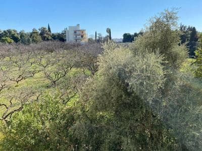 Urban Apartment in Marousi with Rural View