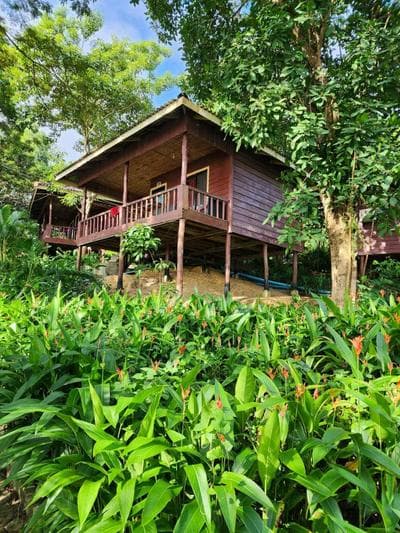 Sweet Jungle Bungalows