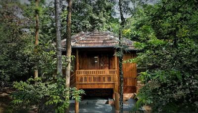 Mahout Resort Wayanad - An Experiential Jungle Stay with Waterfall