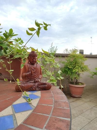 Nature House