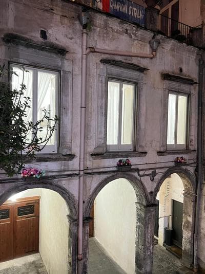 Niko house