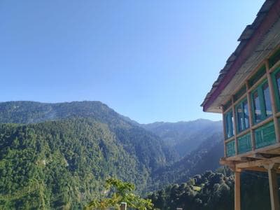 Himalayan Nest Sharan