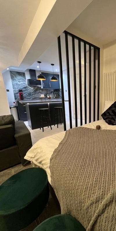 Newly renovated Modern studio apartment in West Kensington