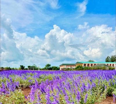 The Breath Khao Yai