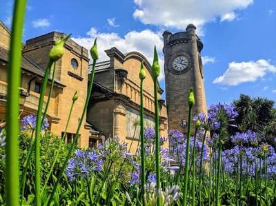 Beautiful 2BR Flat, Peaceful Dulwich, South London