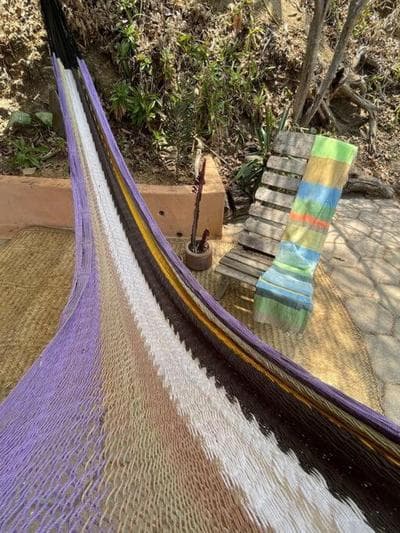 La cima del bosque
