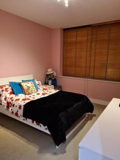 Whole Flat, Centrally Located, Light & Airy