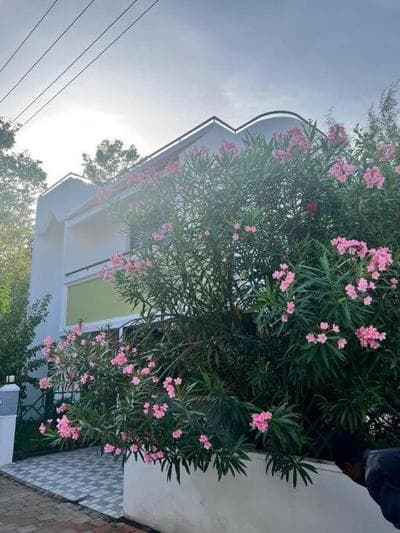 Villa Shristii - A loving abode