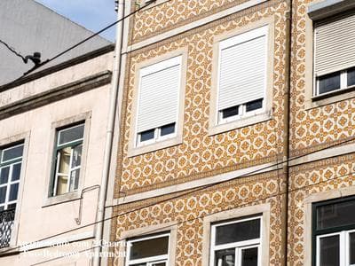 Akicity Anjos Golden