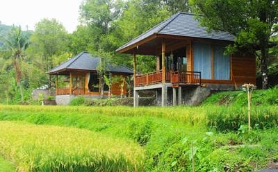 MAYURA BALI VILLA