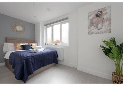 Splendid and Comfy 1 bedroom apartment