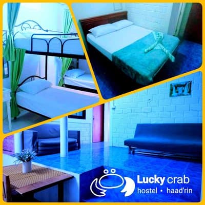 Lucky crab hostel
