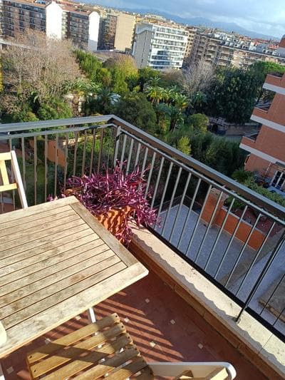 Il Coriandolo 2