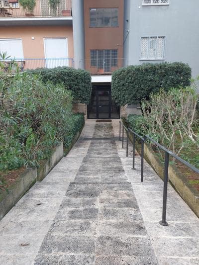 VATICAN PITTORE HOUSE