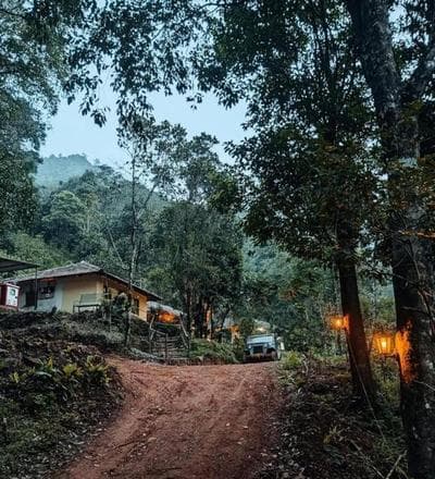 Tent stay in Wayanad
