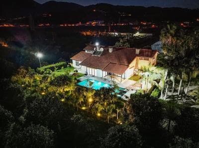 Villa Queen Palm