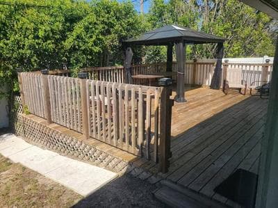 Octopus Perfect Location On Pond 3 Mile To Gulf Beach