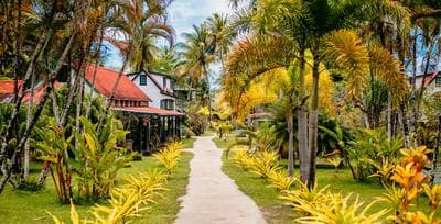 Plantage Resort Frederiksdorp