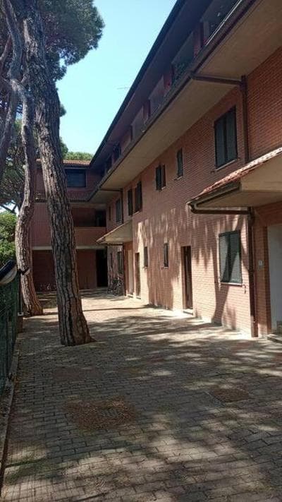 Casa in pineta a Marina