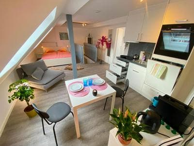 Ruhige, neue Dachwohnung an Altstadt, nähe Messe