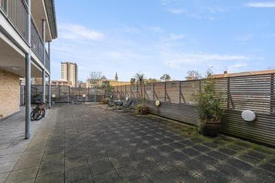Tranquil Urban Haven