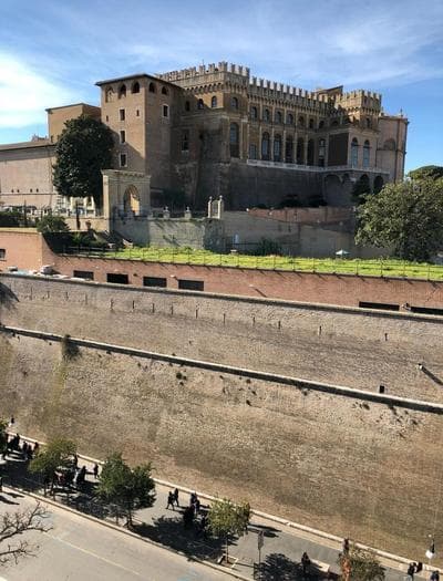 MUSEUM DAY VATICAN