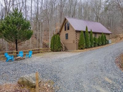 Cozy Cabin Retreat: Tiny Trotter
