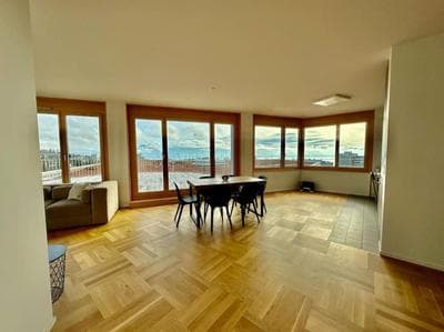 Cosy apartment in Lausanne