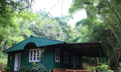 Verdant Hillock