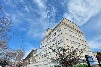Homely Flat Porta Maggiore
