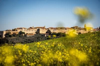 Appartamento Il Papavero Rosso