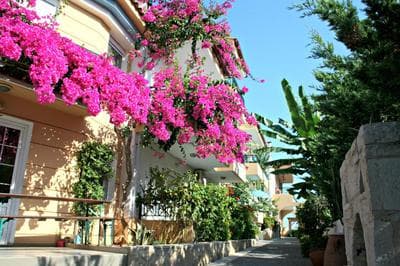 Minoica Beach Apartments