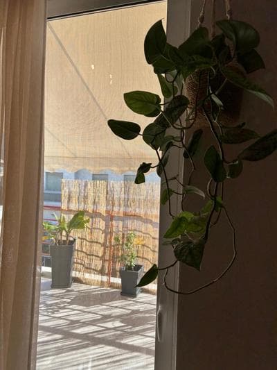 ZEN Neapoli Penthouse Suite Maisonette