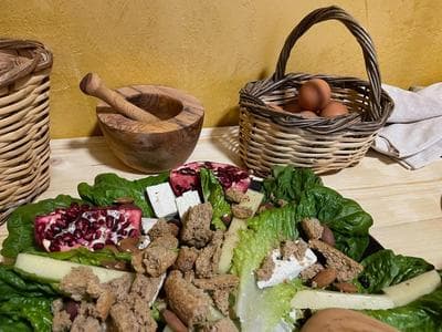 OIKOS Ancient Greek House