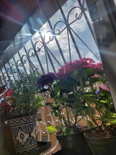 Chabili Appartements