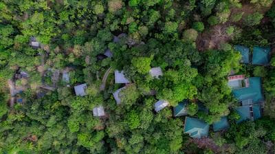 The Hive Wayanad