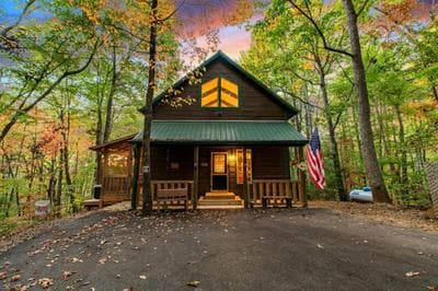 'Beary Cozy Cabin' - Dogs Welcome Ellijay-HotTub