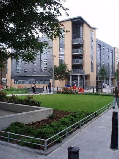 Spacious 2 Bedroom Apartment In Central Near tube