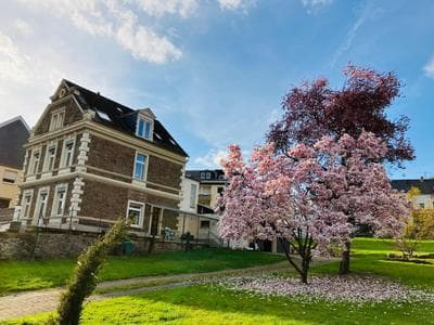 NEU - Ferienwohnungen im Winzergarten