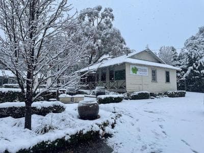Mortimer's Wines Studio - Adults Only Retreat