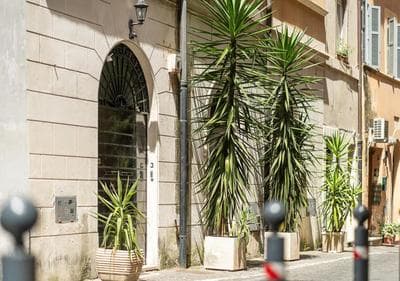 Loft Piazza Navona